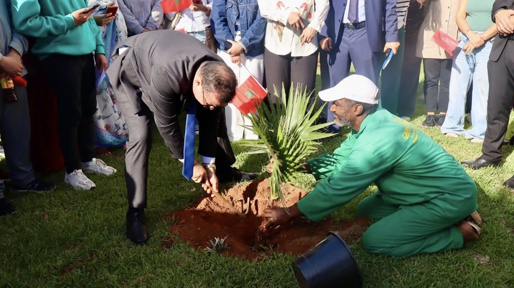 كلية علوم التربية تحتفي بالذكرى الخمسين للمسيرة الخضراء المظفرة 